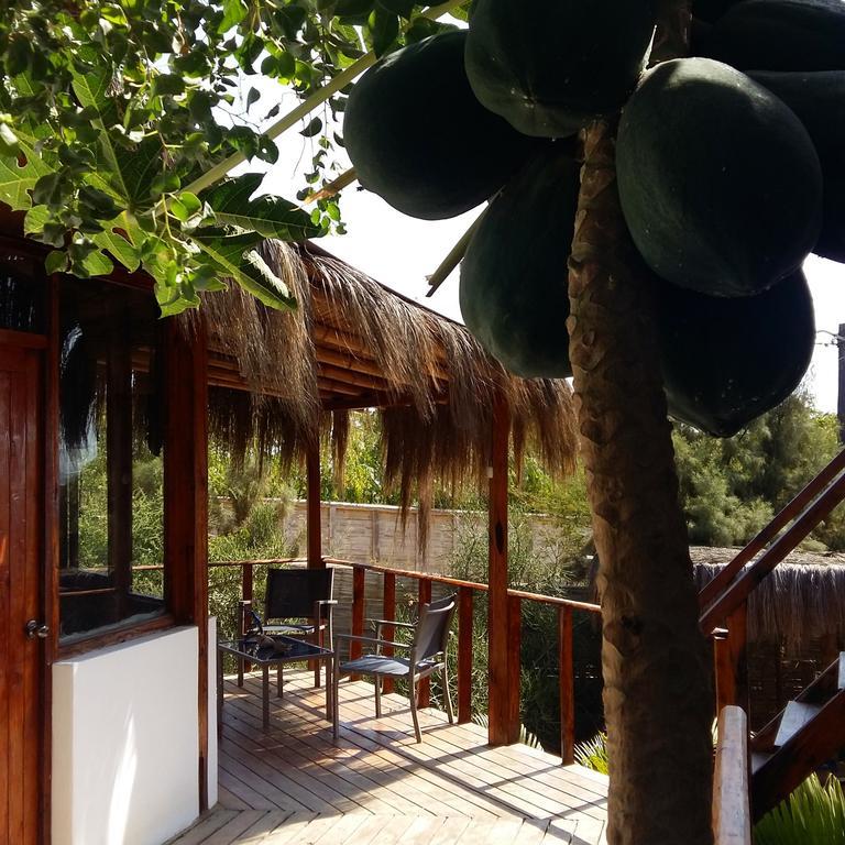 Lapa Lapa Lobitos Bungalows Hotel Exterior photo